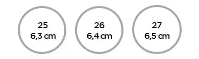 anel-6